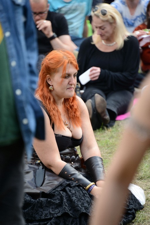 ../Images/Vrijdag Castlefest 2015 112.jpg